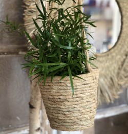 Plantenhanger