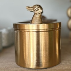 Voorraad pot teckel
